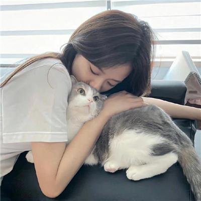 追鹰日记